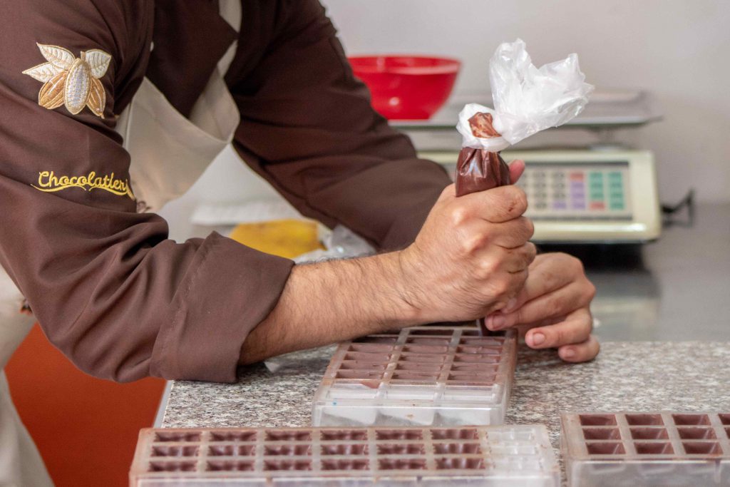 cursos de chocolateria en bucaramanga árbol de cacao