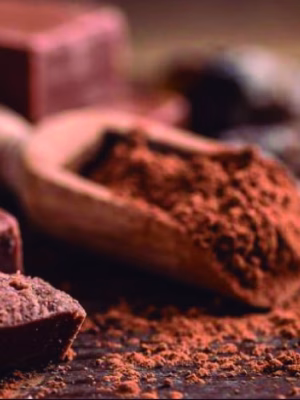 Chocolate de taza en polvo con panela de Árbol de Cacao, servido junto a trozos de chocolate artesanal y una cuchara de madera con cacao en polvo.