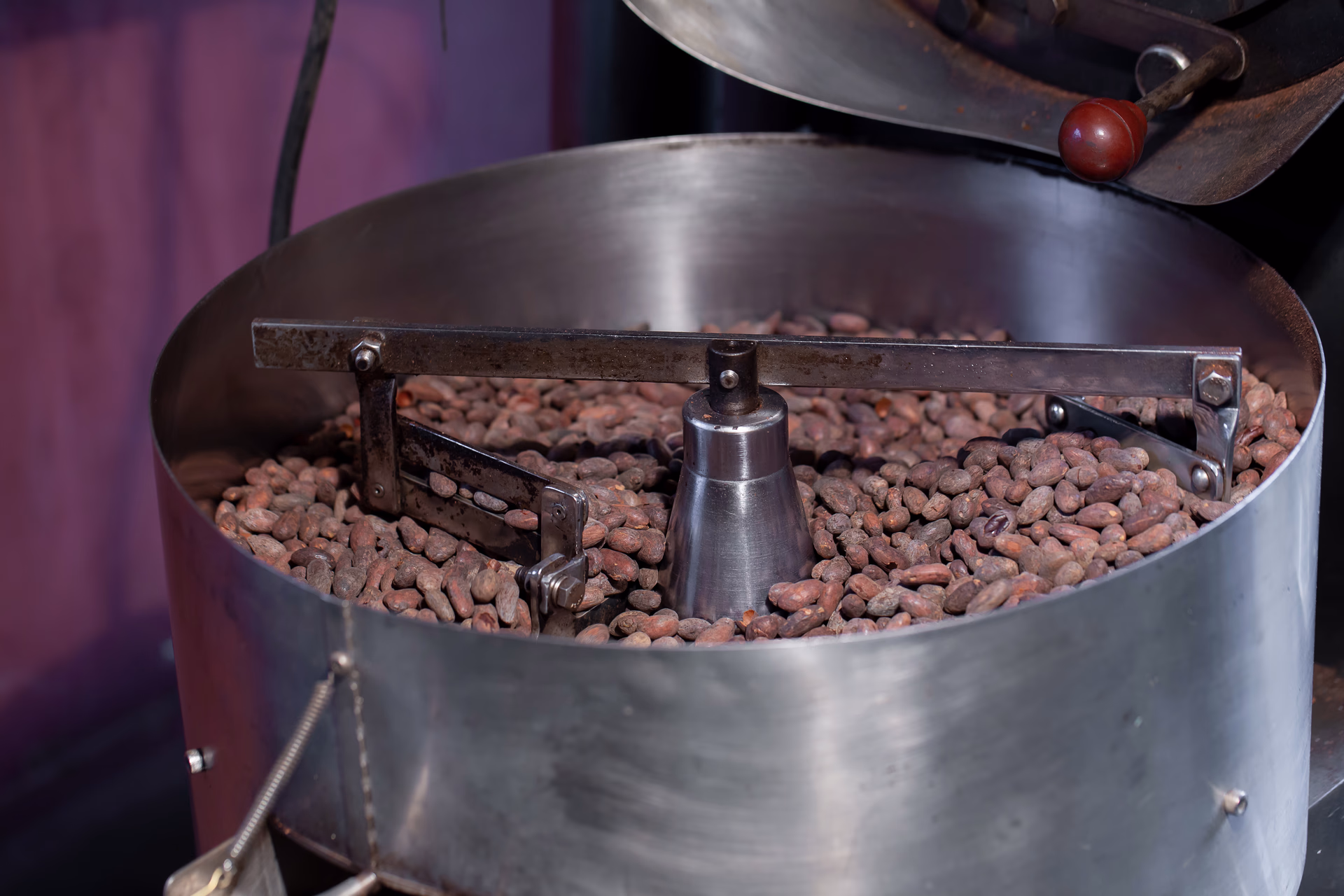Maquinaria para Cacao en Colombia - Guía de Proveedores Confiables - Árbol de Cacao